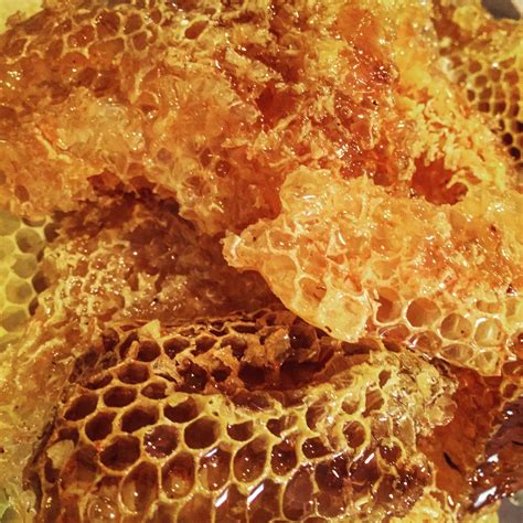 Honey with Honeycomb - Flagstaff Arizona Royal Kenyon Beeworks
