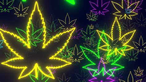 Neon Lights Cannabis Leaf Logo Flying Forward 4k Free Colorful Motion