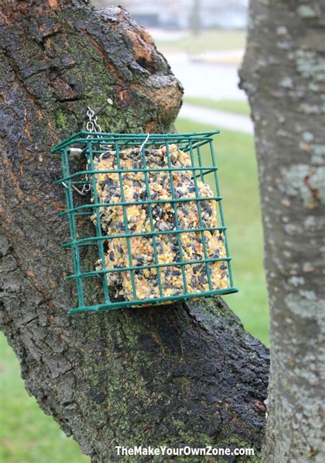 In a 1 quart pan, combine millet and 1 1/2 cups water. Make Your Own Homemade Birdseed Cakes