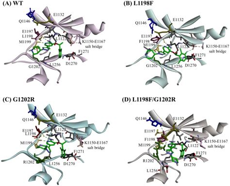 Crizotinib Binding Modes In Alks A Wt B L1198f Mutant C G1202r