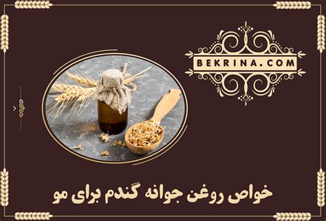 Apply it from the roots to the tips, wait 30 minutes, and. خواص روغن جوانه گندم؛ 18 خاصیت جادویی برای سلامتی و زیبایی ...