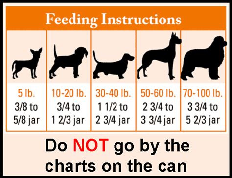 The frequency of feeding puppies goes down to 3 times per day at around 3 to 6 months of age, and 2 times per day at around 6 to 12 months. The best dog food for feeding your dog