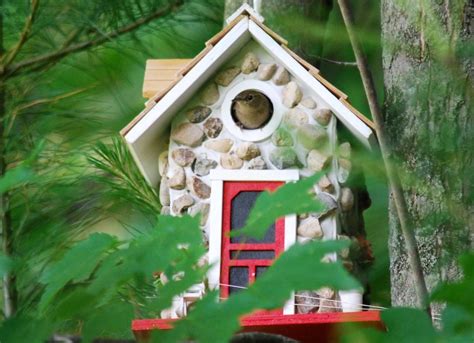 Gift ideas for backyard bird watchers. Over 70 Gift Ideas for Backyard Bird Watchers - Bird ...