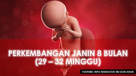 Pada usia kehamilan 7 minggu, kini rahim anda mulai berkembang menjadi seukuran buah berapa minggu usia kehamilan mommy sekarang?. Gambar Janin 8 Bulan Dalam Kandungan - AR Production