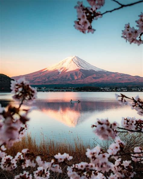 Mount Fuji Framed By Cherry Blossoms Rmostbeautiful