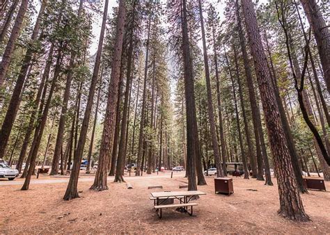 Upper Pines Campground Yosemite Valley • James Kaiser