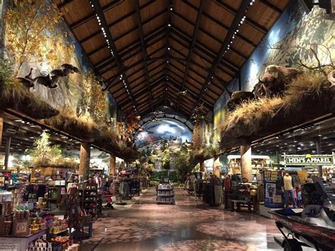 Amazon ignite sell your original digital educational resources. 7 things to know about Rocklin's Bass Pro Shops