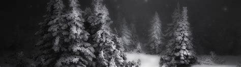 Black Forest Winter Wallpapers Top Free Black Forest Winter