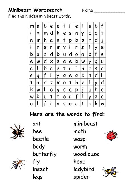 13 Best Images Of Insects Worksheets Word Searches