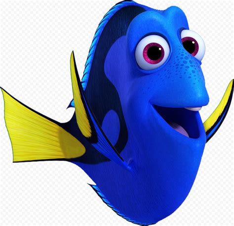 A Blue And Yellow Fish With Big Eyes