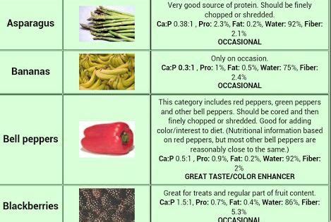 Snake food chart reptile forums. bearded dragon food chart - Google Search | for the ...