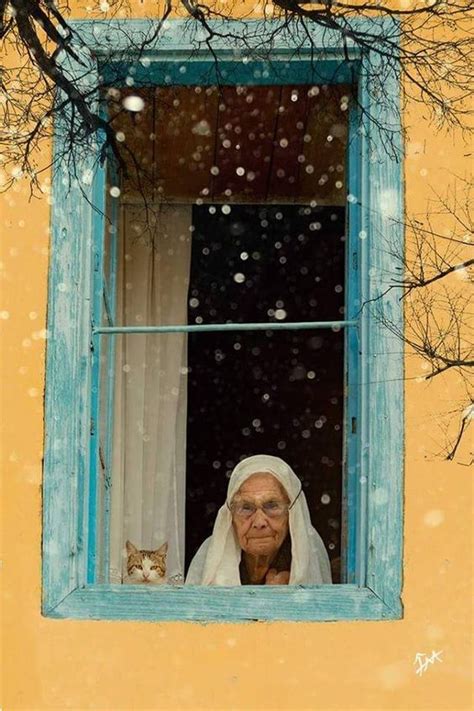 A few years ago, news broke that the woman in the window was being turned into a movie, but due to reported reshoots and setbacks stemming from the but 2021 is the year of the woman in the window, as it's now officially being released on netflix. Funny Cat and Old Woman Looking Out Of The Window | LuvBat
