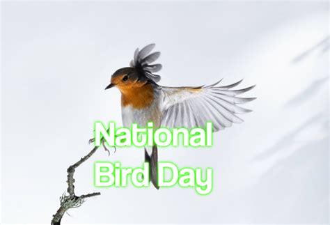 National Bird Day 2024 When Where And Why It Is Celebrated