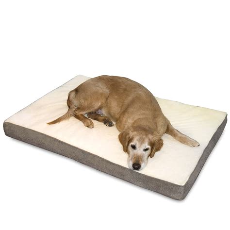 Best Dog Beds For Large Dogs Guide And Recommendations