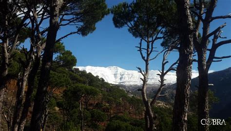 Mount Sannine Lebanon Covered In Snow Alt 2628m Rwinterfans