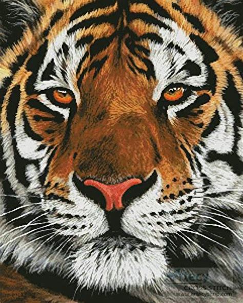 Count over on your board, find the same corresponding square, and paint your first ex (image 2). Bengal Tiger Portrait Cross Stitch Pattern tiger