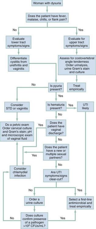 Selected Urologic Problems Anesthesia Key