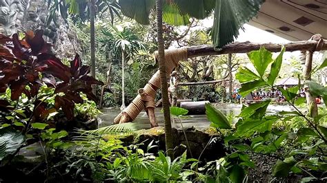 Bali Safari(1) - YouTube