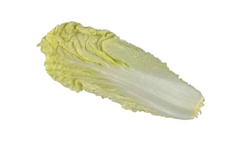 180 Wombok Cabbage Stock Photos Pictures And Royalty Free Images Istock