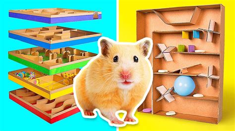 Coolest Crafts For Active Hamsters Diy Mazes From Cardboard Youtube