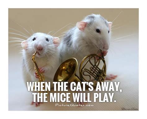 When The Cats Away The Mice Will Play Picture Quotes