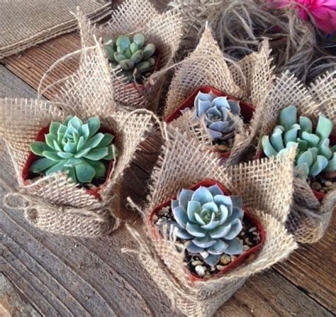 43 Creative Garden Potting Ideas