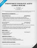 Images of Job Description For Property And Casualty Insurance Agent
