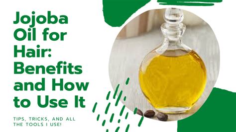 Jojoba Oil For Hair Benefits And How To Use It Thrive