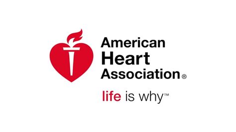 American Heart Association Houston Youtube