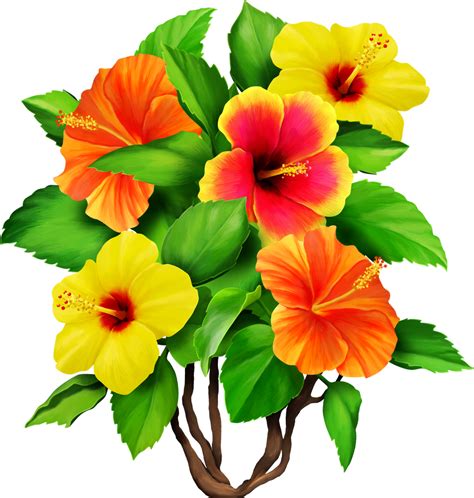 Hibiscus Drawing Free Download On Clipartmag