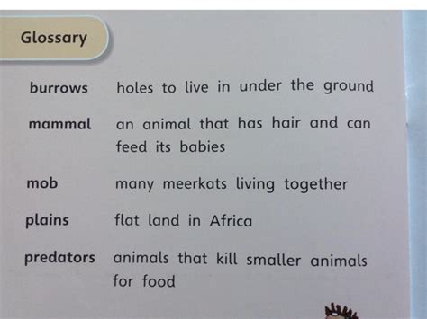 Meerkat Glossary Free Activities Online For Kids In Kindergarten By
