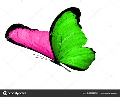 Bilder mit nachrichten zu teilen! Isoliert auf weißem Hintergrund Schmetterling mit rosa und ...