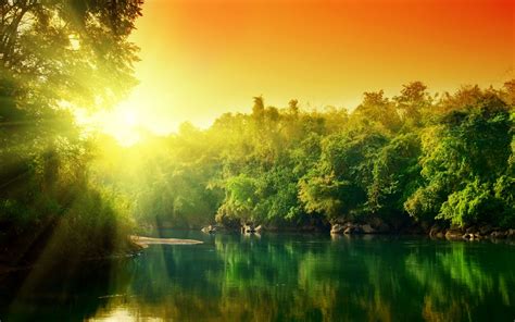 Jungle Sunset Wallpapers 4k Hd Jungle Sunset Backgrounds On Wallpaperbat