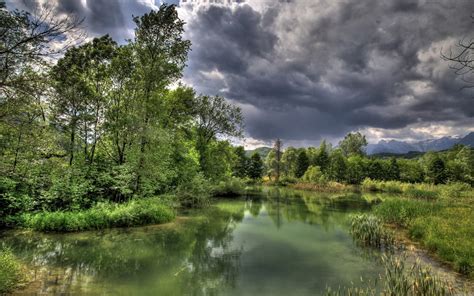 Photo Of Lake Surrounded By Trees Nature Landscape Hdr Trees Hd