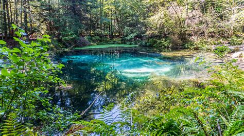 Today we adventure to Pennsylvania's hidden oasis, Big Spring! It is