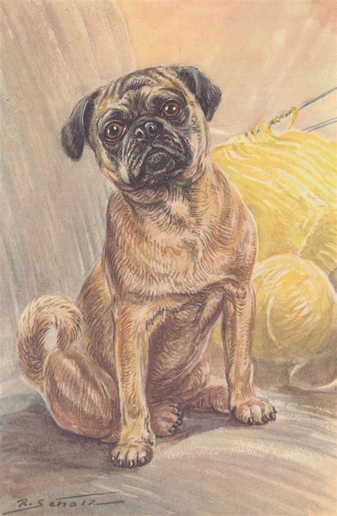 Vintage Pugs Pug Dog Color Dog Art Print 1960 By R Scholz Etsy Dog