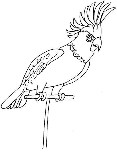 Parrot Animals Coloring Pages Coloring Page And Book For Kids