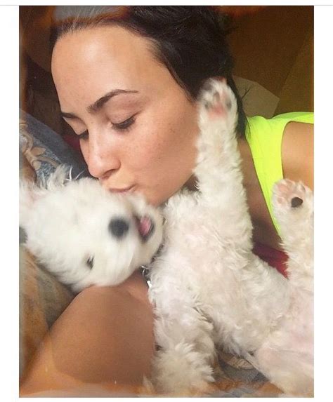 Demi Lovato And Buddy Cute Celebrities Celebs Cute Tiny Dogs