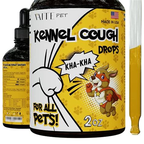Ultimate Review Of The Best Cough Medicine For Dogs You Can Buy
