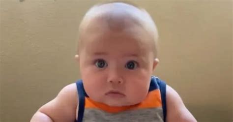 ‘chubby Baby Is Famous On Social Networks
