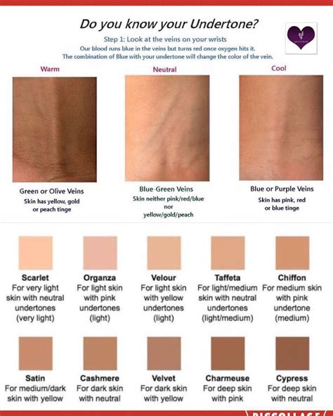 Pin By Haley Stump On Beauty Colors For Skin Tone Skin Tone Makeup