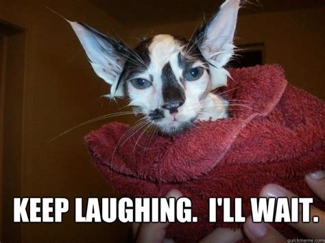 Keep Laughing Ill Wait Patient Evil Cat Quickmeme