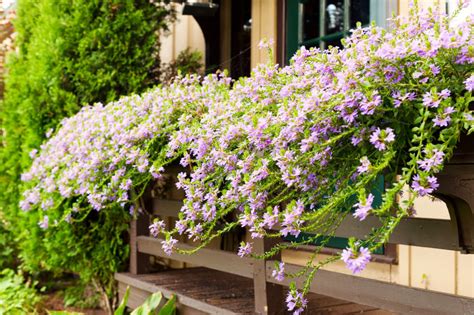 20 Wonderfull Window And Balcony Flower Box Ideas That You Will Fall In