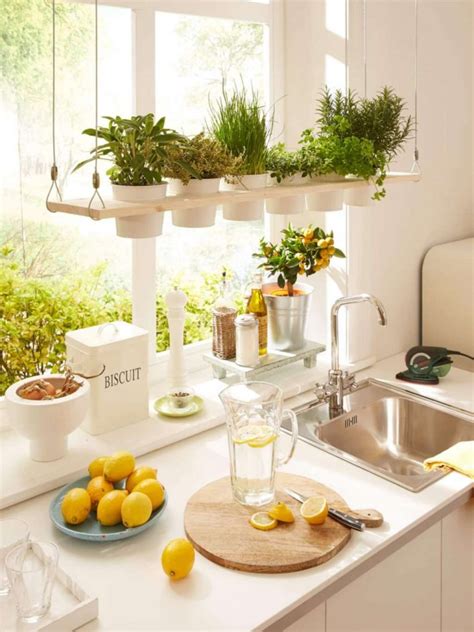 10 Amazing Indoor Kitchen Herb Gardens