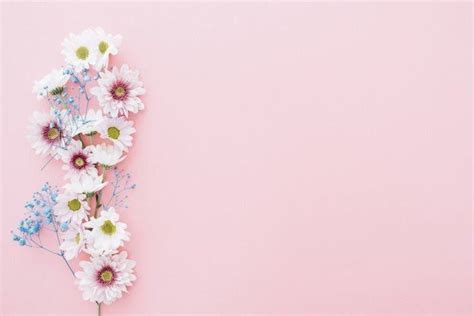Fondos de pantalla para celulares. fondos rosa pastel vintage | Fondos para diapositivas ...