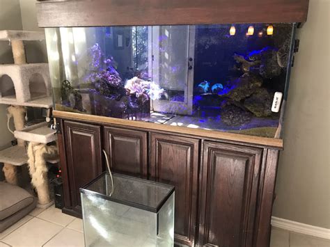 120 Gallon Fish Tank And Complete Set Up For Sale In Seagoville Tx Offerup
