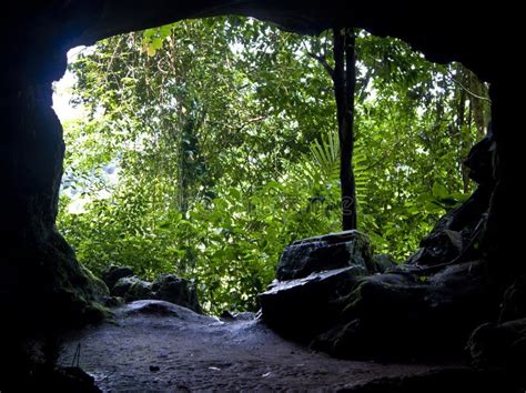 View From Cave To A Jungle Stock Photo Image Of Labyrinth 40058954