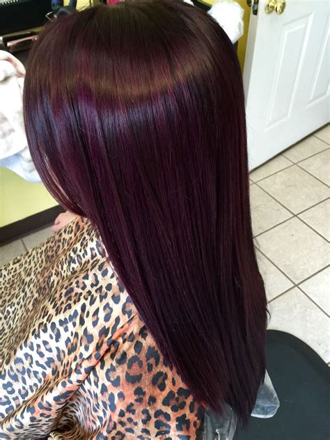 Blackberry Perfection Reddish Purple Hair Hair Color Plum Dyed