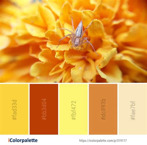 631 Honey Bee Color Palette Ideas In 2024 Icolorpalette