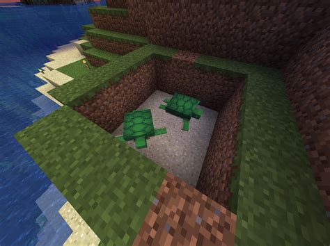 See full list on wtbblue.com How To Hatch Sea Turtle Eggs Minecraft